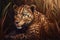 Leopard art deco style high quality, animals, wildlife