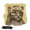 Leopard babby tabby watercolor portrait of exotic animal. Panther looking aside. Felidae family member, mammal with furry coat