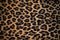 Leopard background