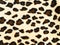 Leopard background