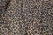 Leopard background texture safari pattern leopard print fabric material design.