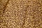 Leopard background texture safari pattern leopard print fabric material design.