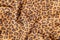 Leopard background texture, safari pattern, leopard print fabric, material, design.