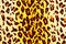 Leopard backgrounds pattern