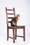 Leopard Cat On A Chair