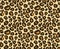 Leopard / cheetah skin seamless pattern, abstract animal background, vector illustration.