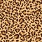 Leopard, cheetah spotted texture, leopard seamless pattern design, background