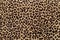 Leopard effect fabric pattern background sample. African style, leopard print, seamless.