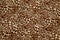 Leopard effect fabric pattern background sample. Leopard print seamless background.