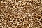 Leopard effect fabric pattern background sample. Leopard print seamless background.