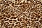 Leopard effect, fabric pattern, background sample. Leopard print seamless background.