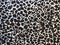 Leopard fabric texture