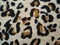 Leopard fabric wild pattern