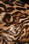 leopard fur details