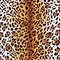 Leopard fur seamless vector print