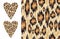 Leopard ikat texture and Distressed ikat pattern and heart shape with wild print