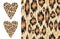 Leopard ikat texture and Distressed ikat pattern and Vector heart shape with wild print