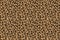 Leopard jaguar pattern seamless. Vector texture background. Brown wild cat fur