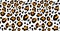 Leopard or jaguar print seamless pattern, textured fashion print, abstract safari background for fabric, textile. Effect