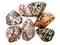 Leopard jasper semigem mineral geological crystals group