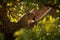 Leopard licks paw lying in leafy tree