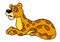 Leopard lies animal character  cartoon illustration