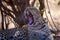 The leopard Panthera pardus, portrait at sunset. Leopard yawns in a yellow dry bush in a South African savannah