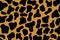 Leopard Patten Illustration