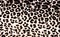 Leopard Pattern