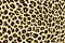 Leopard pattern abstract backgroud. Generative AI