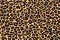 Leopard pattern texture repeating seamless