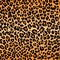 Leopard pattern texture repeating seamless orange black fur print skin