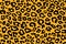 Leopard pattern texture repeating seamless orange black fur print skin backdrop wallpaper. Vector image illustration
