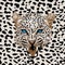 Leopard pattern vector