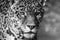 Leopard portrait, Panthera Pardus, bold contast in black and white