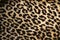 Leopard print