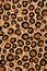 Leopard Print Background