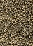 Leopard print fabric texture