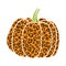 Leopard print pumpkin illustration