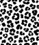 Leopard print seamless background pattern. Black and white