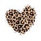 Leopard print textured hand drawn brush stroke heart shape. Abstract paint spot with wild animal cheetah skin pattern texture.