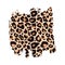 Leopard print textured hand drawn brush stroke spot. Abstract grunge paint stain with wild animal cheetah skin pattern texture.