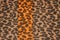 Leopard print vintage banner