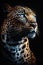 Leopard\'s Vibrant and Intricate Portrait: A Dark Studio Masterpiece with Detailed Lighting Generative AI