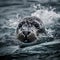 A Leopard Seal in Antarctic Waters