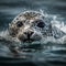 A Leopard Seal in Antarctic Waters