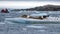 Leopard seal and birds on an iceberg