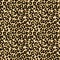 Leopard seamless pattern