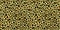 Leopard seamless pattern. Animal print. Vector background