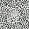 Leopard seamless pattern of animal skin in black and white